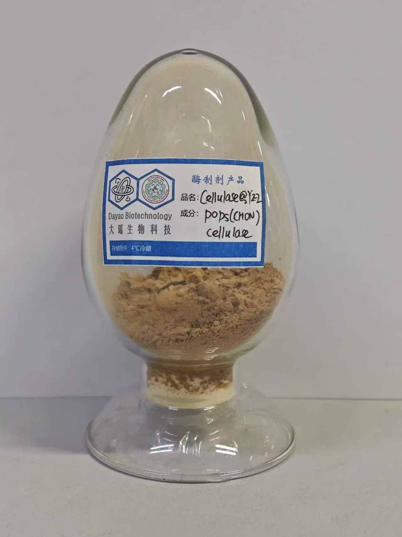 固定化纤维素酶